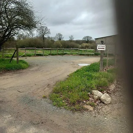 Проживание в семье Hibiscus