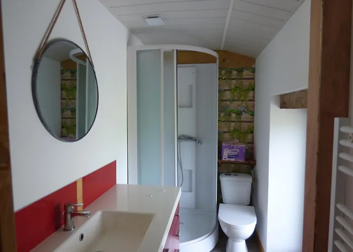 Hibiscus * La Roche-sur-Yon