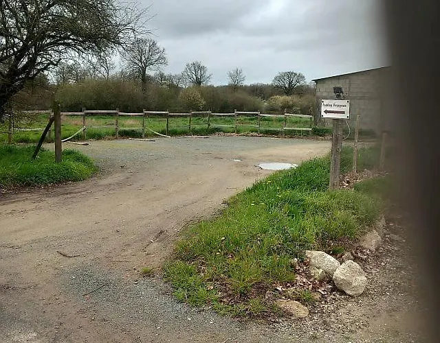 Проживание в семье Hibiscus