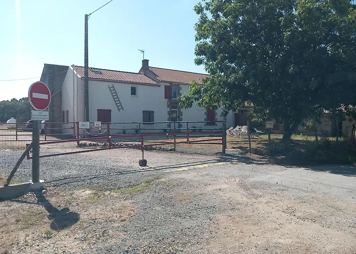 Проживание в семье Hibiscus *