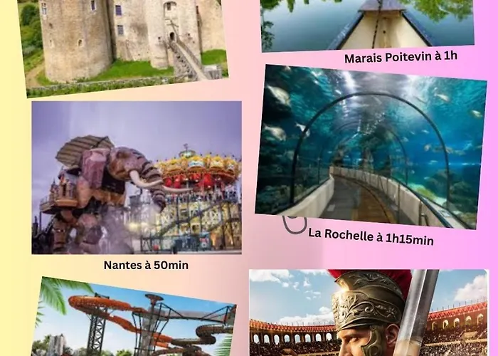 Kwatera prywatna Hibiscus La Roche-sur-Yon