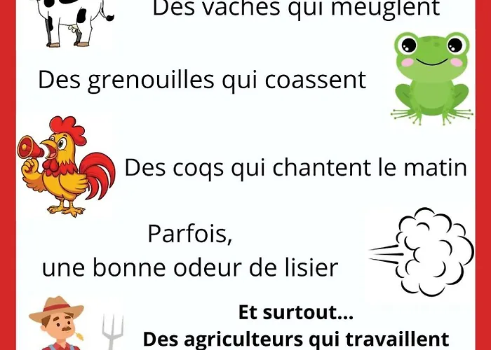 Проживание в семье Hibiscus Ла-Рош-сюр-Йон